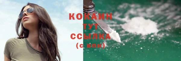 дживик Богданович