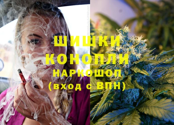 mix Богородск