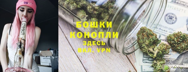 дживик Богданович