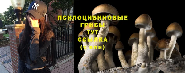 дживик Богданович