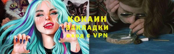 дживик Богданович